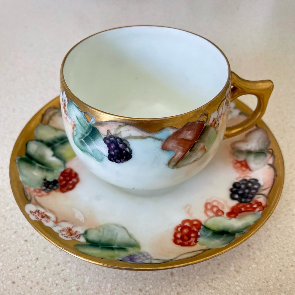 Elegant Bavaria, Germany Berry Tea Cup